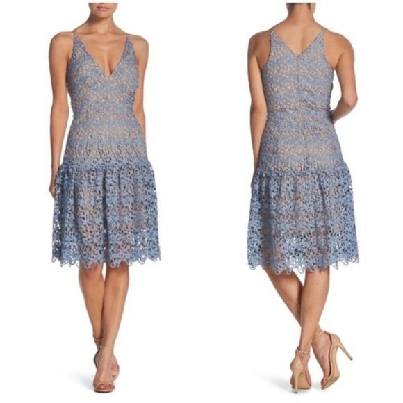 Dress the Population Lily Lace Fit & Flare Dress - Picture 1 of 1